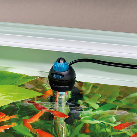 Oase HeatUp aquarium heater immersed in water, featuring adjustable temperature controls and bi-metal technology.