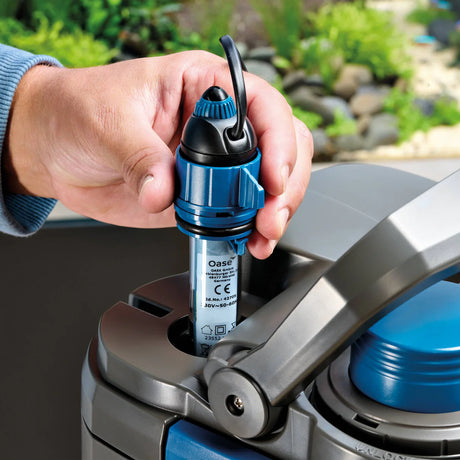 Person installing the Oase HeatUp aquarium heater for precise temperature control.