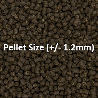 Close-up of Ocean Nutrition Formula Two Pellets, size +/- 1.2mm, designed for herbivorous and omnivorous fish feeding.