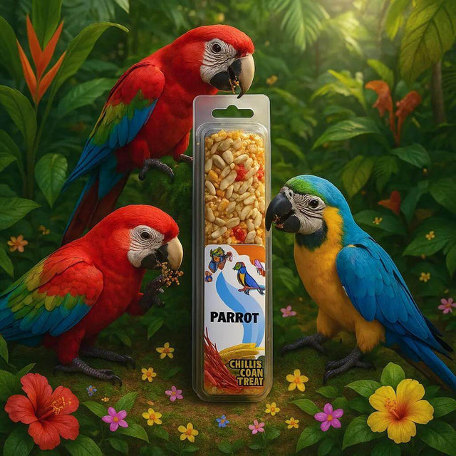 Colorful parrots enjoying a nutritious Chilli Corn seed stick treat surrounded by a lush tropical background.