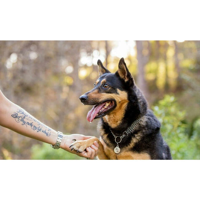 Happy dog with ID tag shaking hands with owner in a natural outdoor setting.