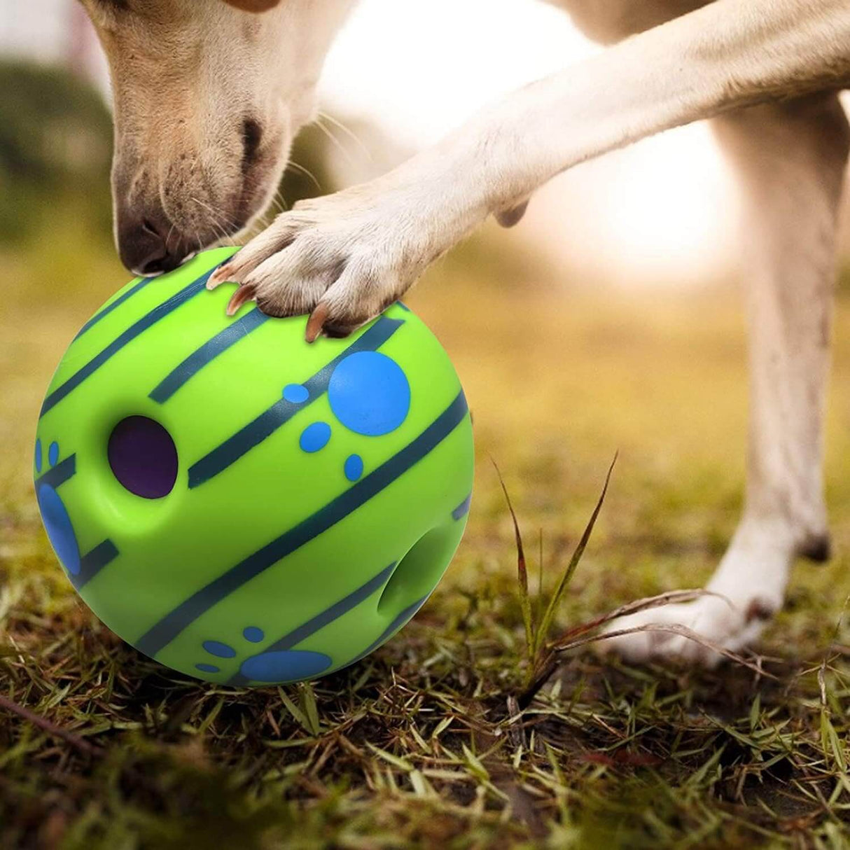 Pet Sound Giggle Ball with Squeaker for dogs, vibrant green toy being played with in the grass.