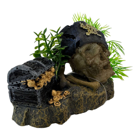 Pirate skull and treasure chest aquarium ornament with detailed design and green plants