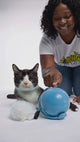 Automatic Cat Rolling Ball Interactive toy video