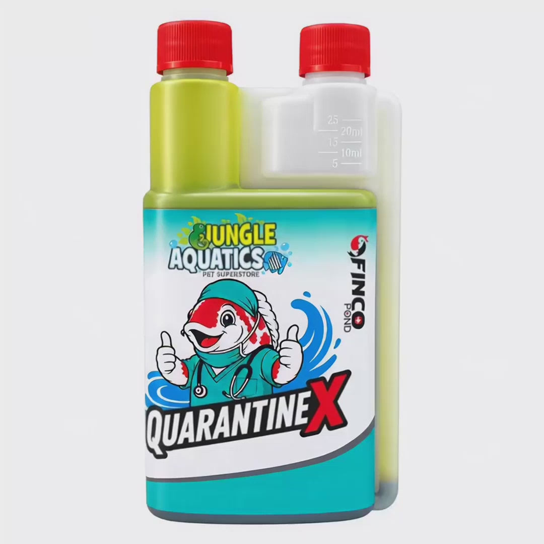 Quarantine X for Healthy Pond Fish