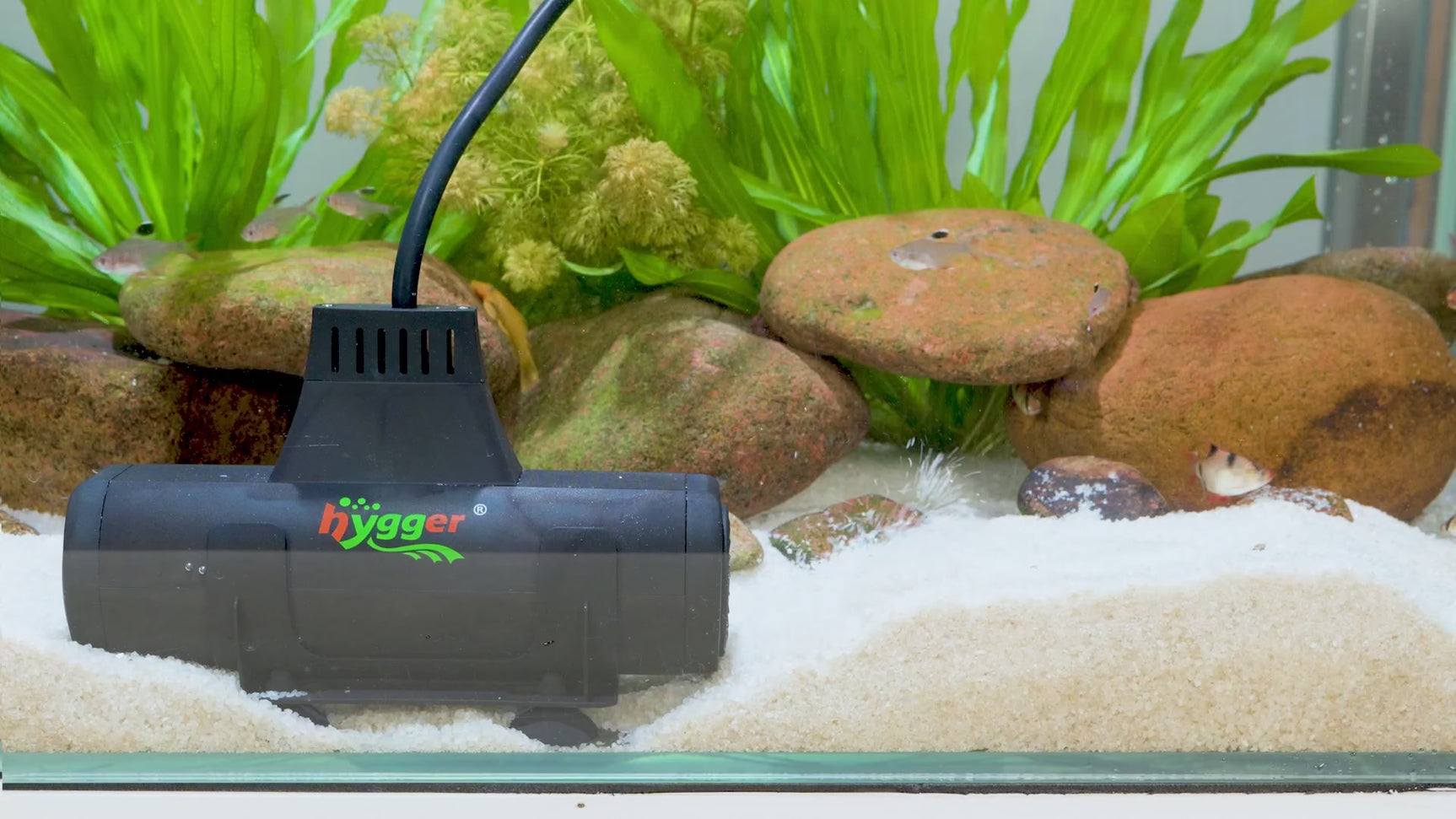 Hygger 2 in 1 Aquarium Heater with Wave Maker Video Demonstration