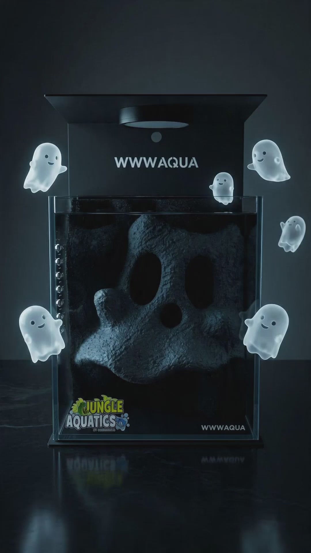 Ghosts and Betta Aquarium