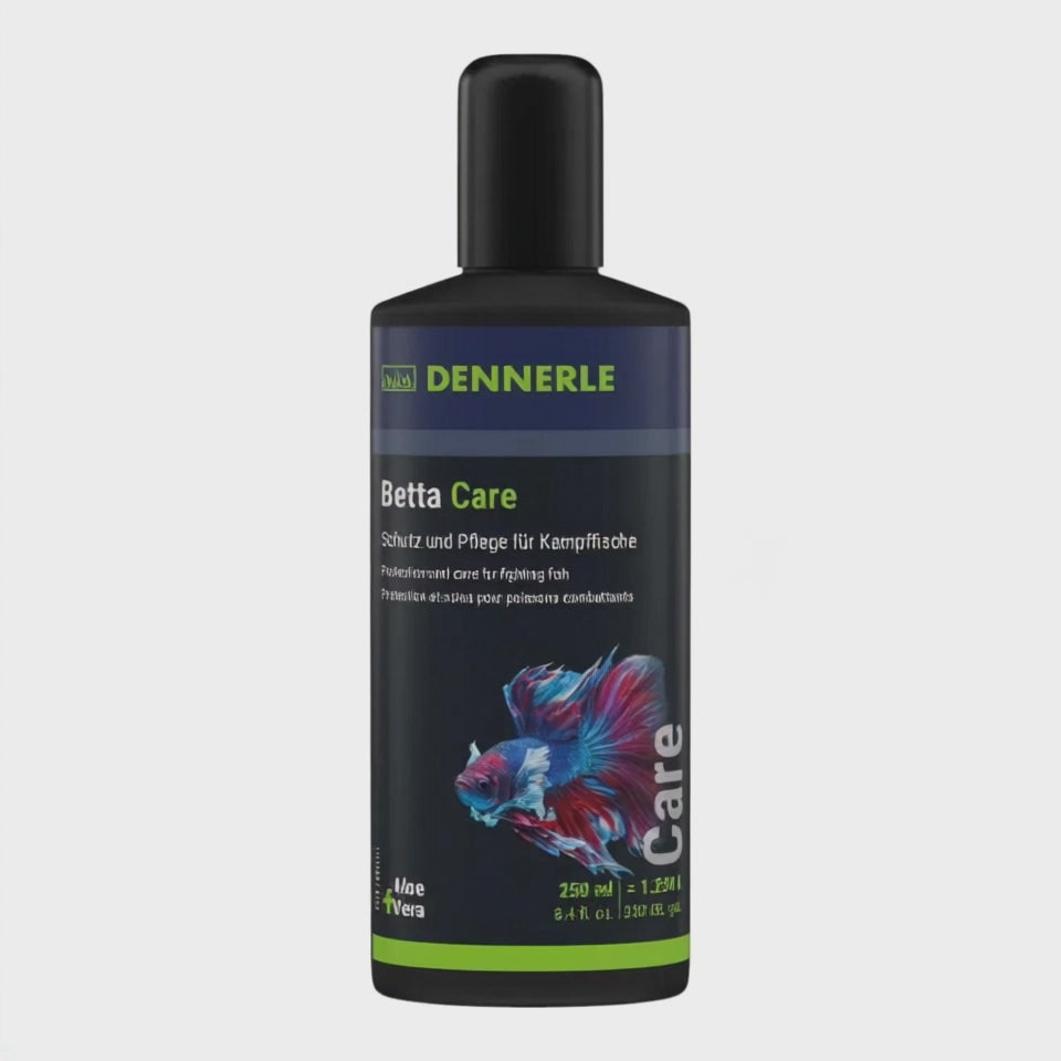 Dennerle Betta Care 250ml for protection and care of Betta fish, featuring aloe vera and herbal extracts.