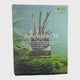 Jungle Mist Paludarium box showcasing integrated filtration, waterfall wall, and atomizer for humidity.