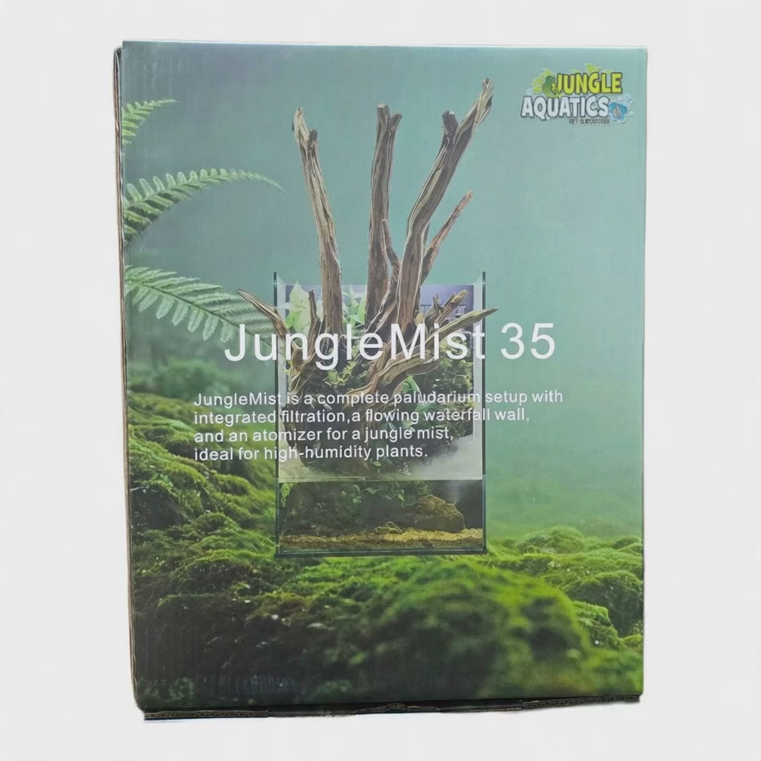 Jungle Mist Paludarium box showcasing integrated filtration, waterfall wall, and atomizer for humidity.
