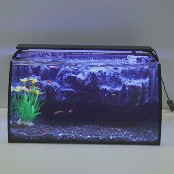 Hygger Curved Aquarium Kit with 3D background and LED lights showcasing underwater scene.