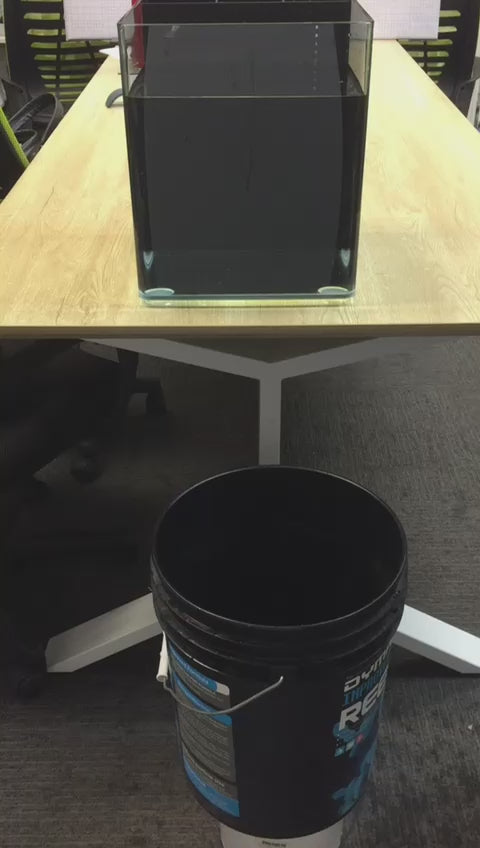 Dymax Mini Vac setup showing an aquarium and bucket for hassle-free aquarium maintenance.