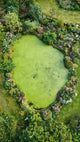 Natural Barley Straw Pond Algae Control Video