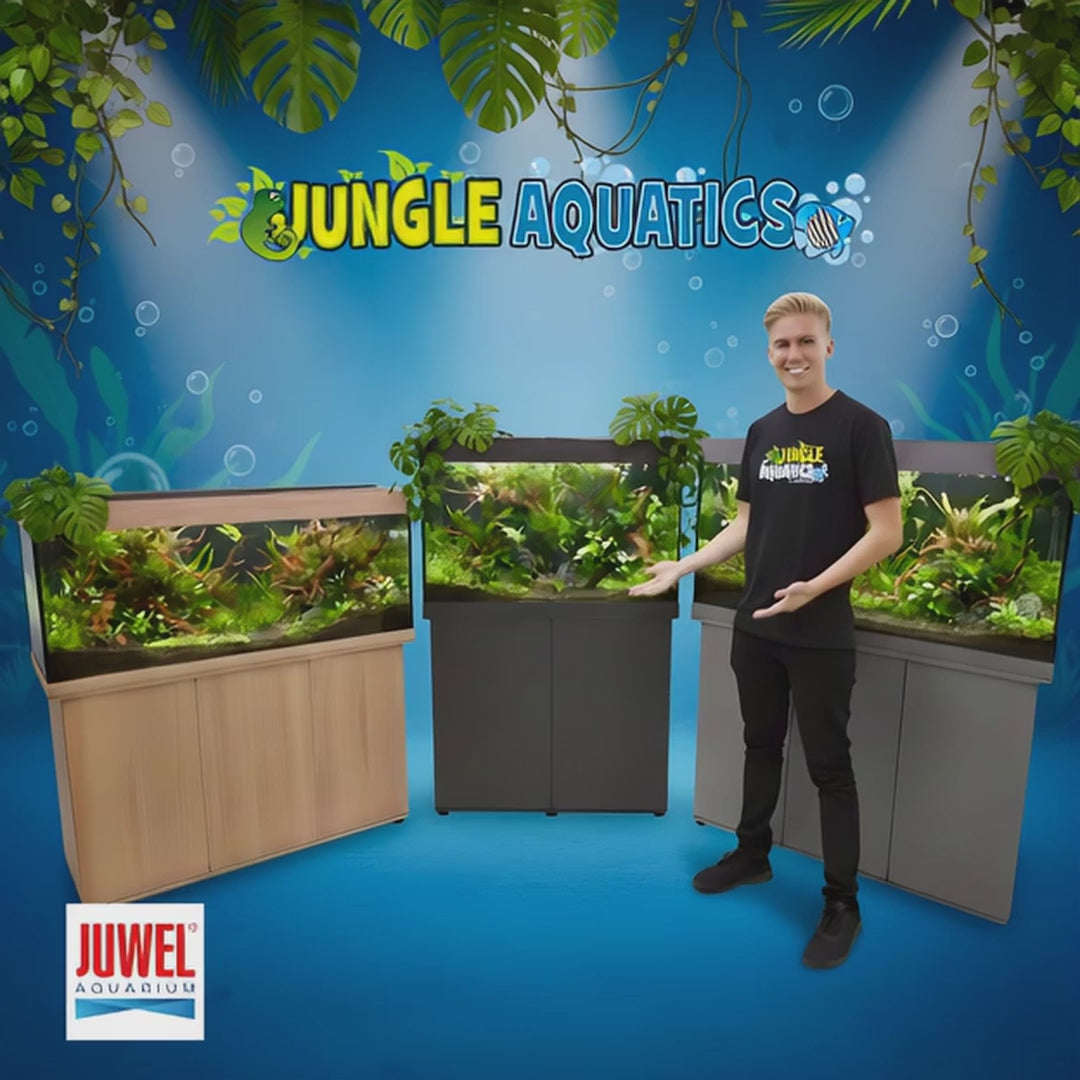 Juwel Rio 290 Aquarium