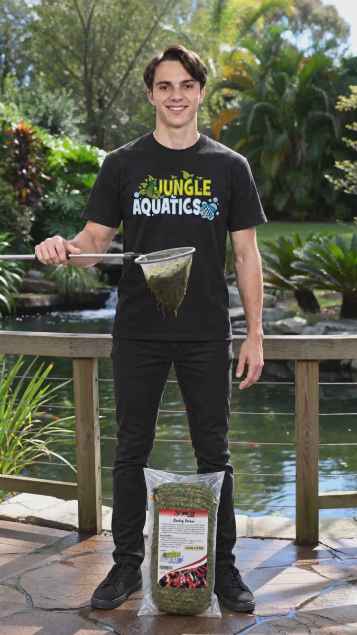 Easy way to control pond algae naturally with barley straw