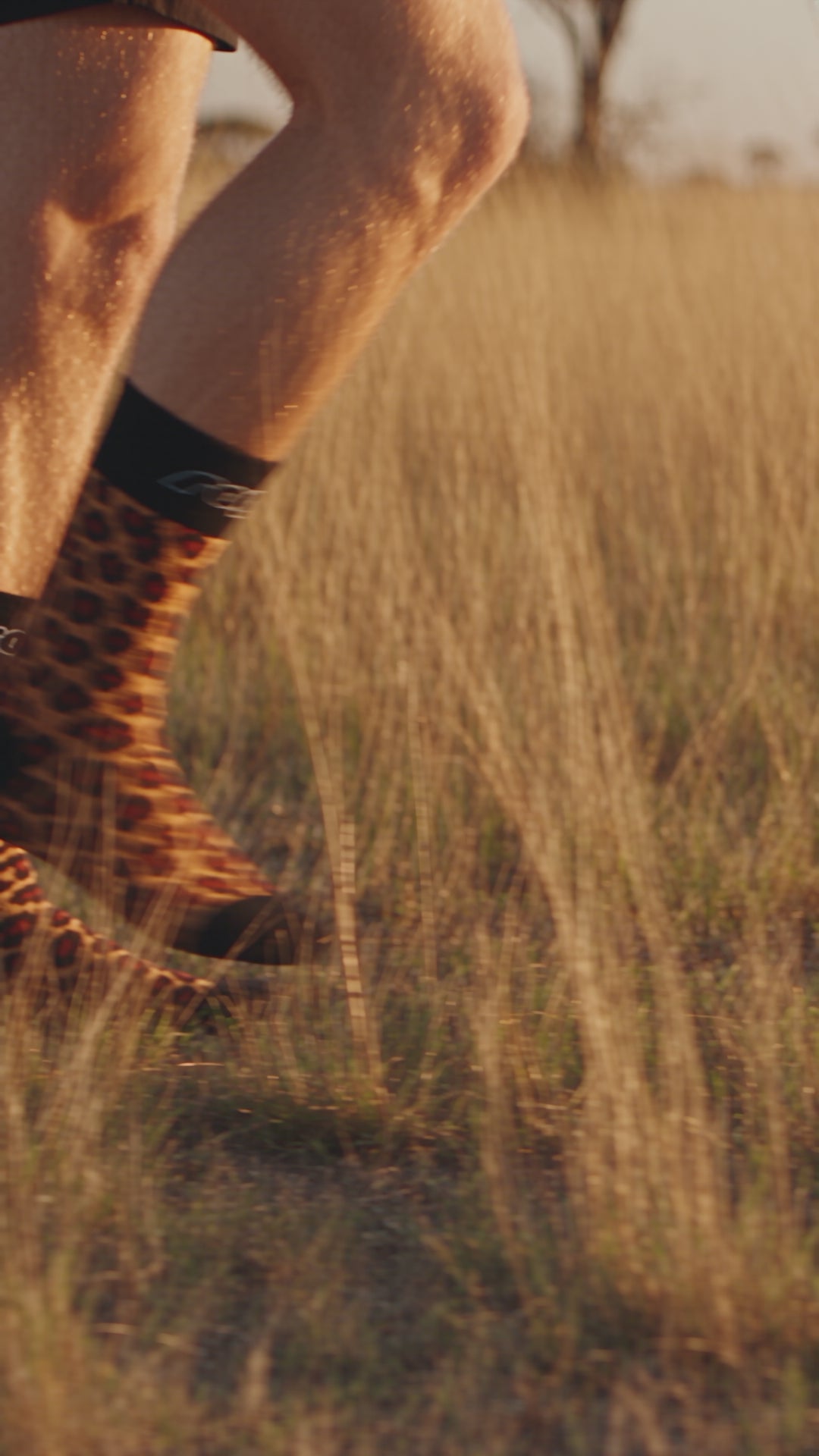 Match you pet with The Rogz Safari Socks for humans