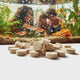 Seachem NutriDiet Vacation Tabs for fish, surrounded by bubbles, with fish tank and people in background.