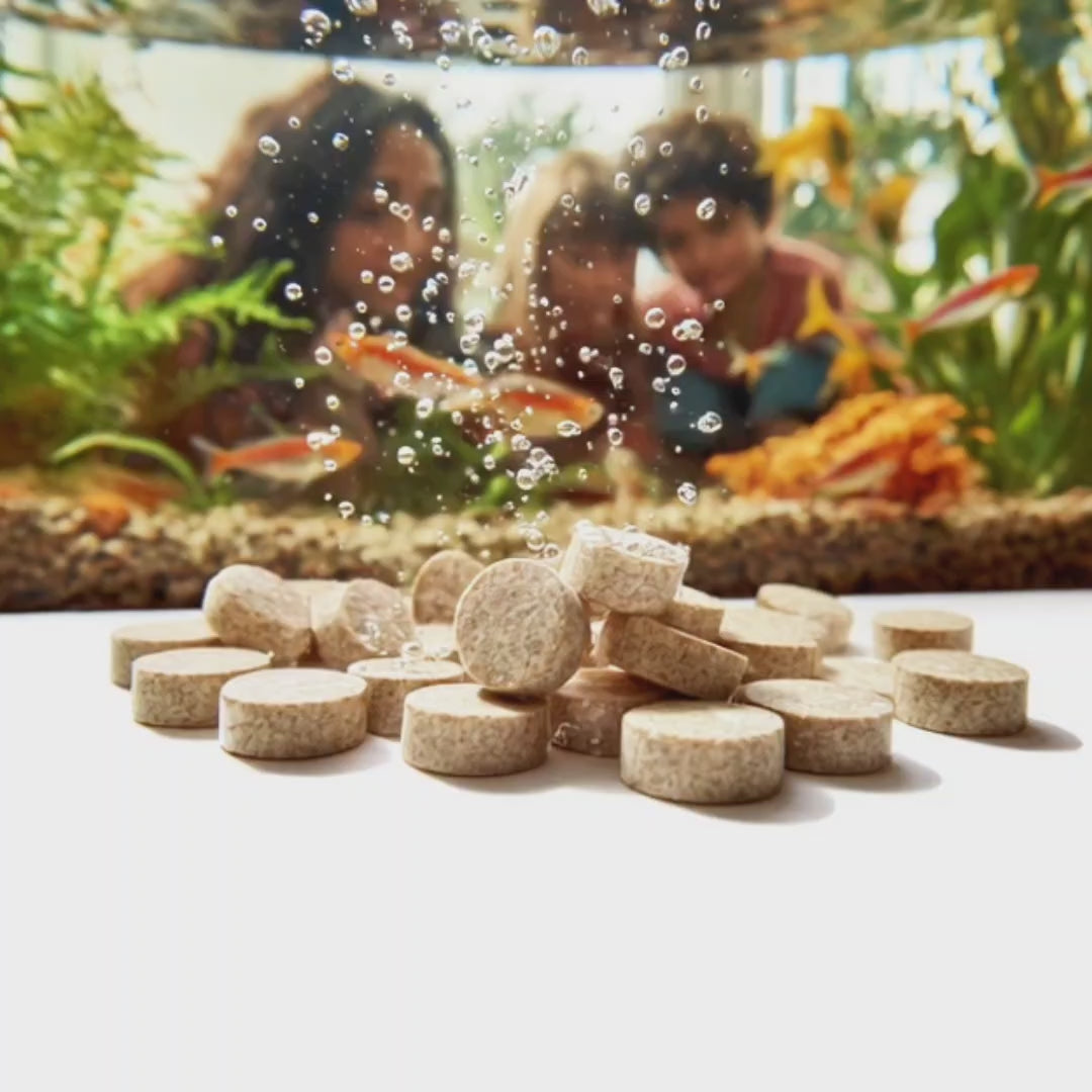 Seachem NutriDiet Vacation Tabs for fish, surrounded by bubbles, with fish tank and people in background.