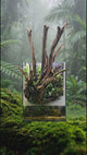 Jungle Mist Paludarium with lush plants and flowing water in a tropical setting.