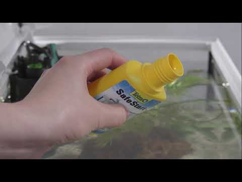 Hand holding Tetra Aqua Safe Start Bacteria bottle over a new aquarium, ready for immediate fish introduction.
