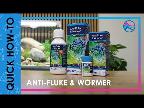 NT Labs Anti-Fluke and Wormer products displayed with aquatic background for aquarium treatment.
