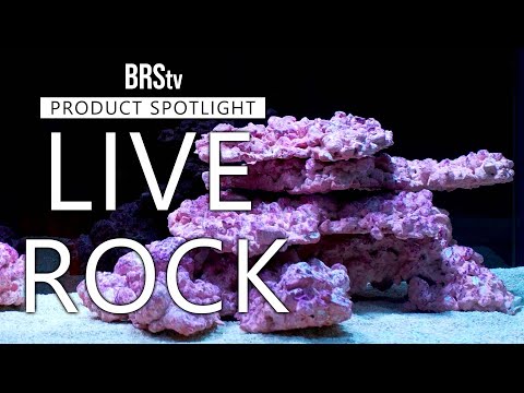 Aquaforest AF Synthetic Rock - Mixed Shapes showcasing aquascaping with lightweight, porous material ideal for filtration.