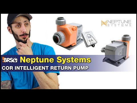 Neptune COR-20 Intelligent Return Pump (2000 GPH)