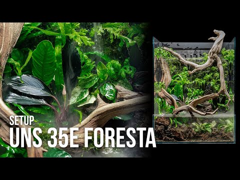 Image of UNS Foresta Paludarium 35E setup showcasing lush plants and cascading waterfall feature.