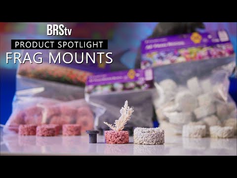 Aquaforest AF Plug Rocks for coral fragging, biologically neutral, stability for soft, SPS, and LPS corals.