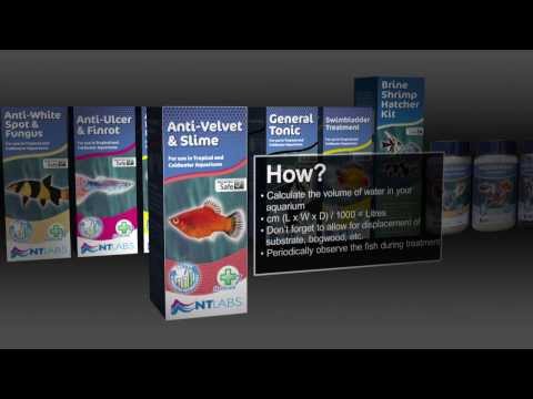 NT Labs Anti-Parasite treatment for tropical and coldwater aquariums, safe for all fish and plants.