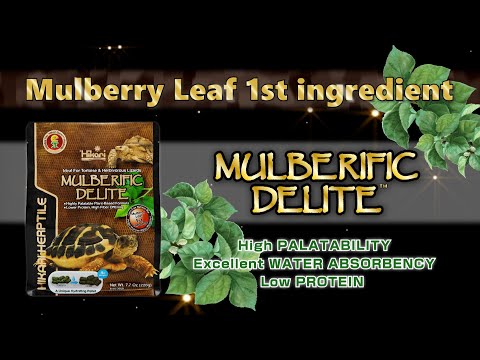 Hikari Mulberific Delite Tortoise Food