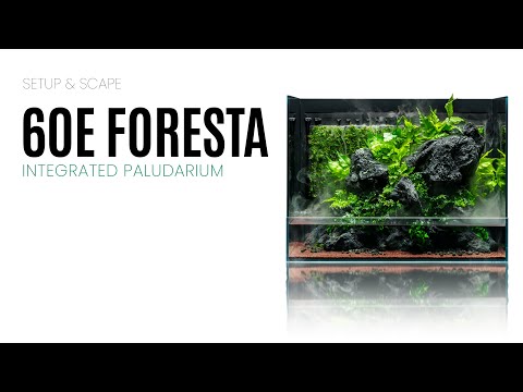 UNS Foresta Paludarium 60E showcasing integrated setup with lush greenery and natural rock features.