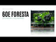 UNS Foresta Paludarium 60E showcasing integrated setup with lush greenery and natural rock features.
