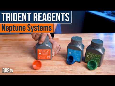 Neptune 2-Month Trident Reagent Kit