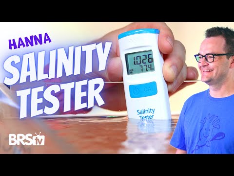 Hanna HI98319 marine salinity and temperature tester measuring salinity in seawater in an aquarium setting.