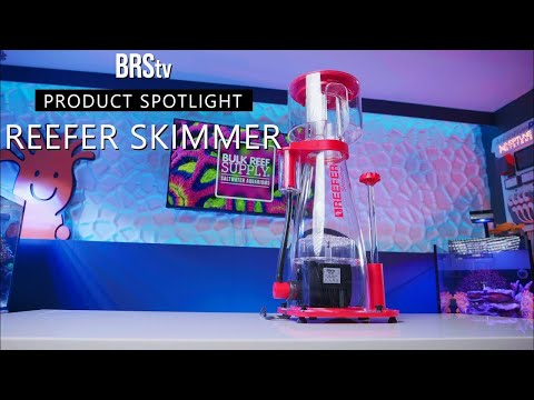 Red Sea Reefer Skimmer showcased in aquarium store, highlighting efficient protein skimming for reef tanks.