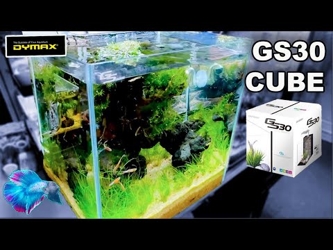 Dymax GS30 Aquarium showcasing ultra clear cube tank with plants and fish, demonstrating built-in filtration system.