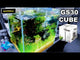 Dymax GS30 Aquarium showcasing ultra clear cube tank with plants and fish, demonstrating built-in filtration system.