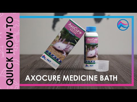 NT Labs AxoCure 100ml medicine bath for axolotls, treats Monogenetic trematodes and Ichthyobodo.