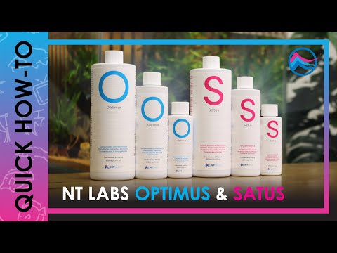 NT Labs Satus Filter Start and Optimus bottles displayed for aquarium care tutorial.
