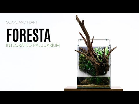 UNS Foresta Paludarium 35E showcasing integrated design with aquatic plants and driftwood for humidity-rich environments.