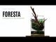 UNS Foresta Paludarium 35E showcasing integrated design with aquatic plants and driftwood for humidity-rich environments.