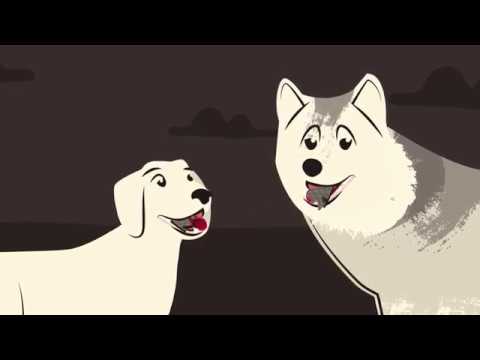 Two animated dogs, a Labrador and a Siberian Husky, happily interacting in a night setting.