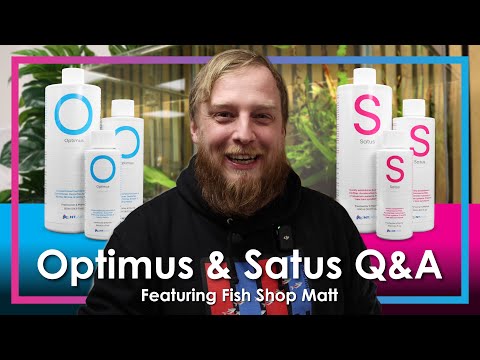 NT Labs Optimus Water Conditioner showcased in a Q&A video with Fish Shop Matt.