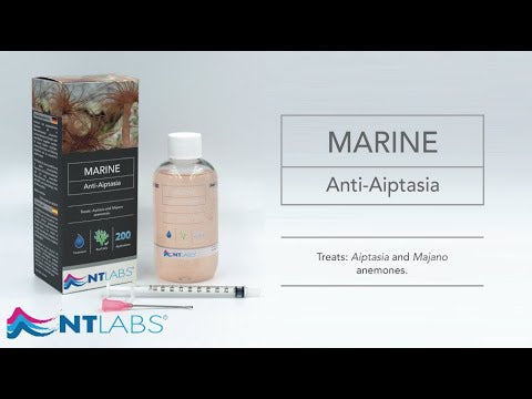 NT Labs Marine Anti-Aiptasia solution for eliminating Aiptasia and Majano anemones in marine aquariums.