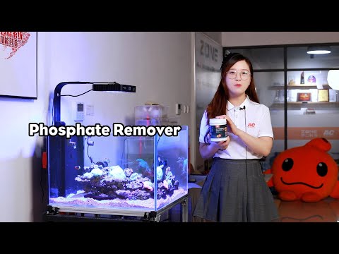 A woman holding Aqua Clean Phosphate Remover in front of a thriving aquarium showcasing coral.