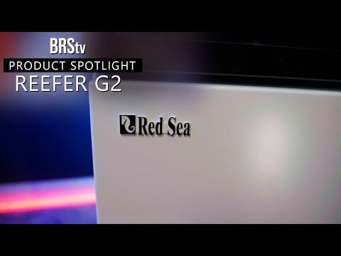 Close-up of the Red Sea Reefer G2 aquarium logo, showcasing premium reef-ready aquarium systems.