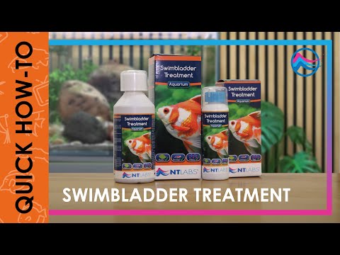 NT Labs Swimbladder Treatment bottles for tropical and coldwater aquariums, aiding fish buoyancy and health.