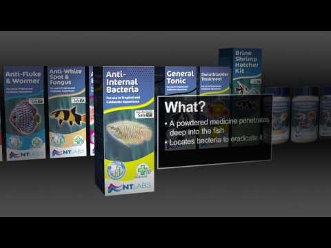 NT Labs Anti-Internal Bacteria treatment for fish; eliminates harmful bacteria in tropical and coldwater aquariums.