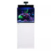 Red Sea Max NANO G2 XL Cube 125L Reef Aquarium System with vibrant coral and fish, sleek white cabinet design.